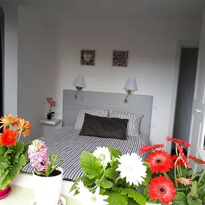 https://el-refugio-de-pilar.in-canary-islands.com
